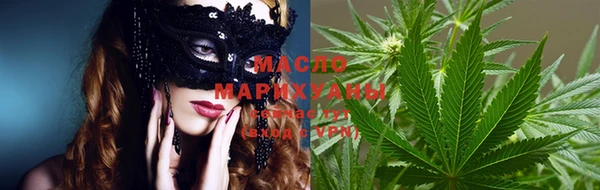 мдпв Гусь-Хрустальный