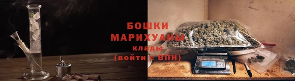 мдпв Гусь-Хрустальный