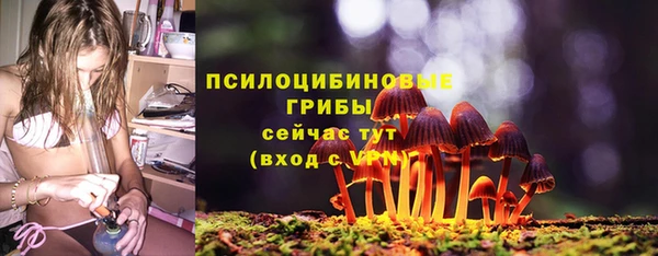 прущие крисы Горно-Алтайск