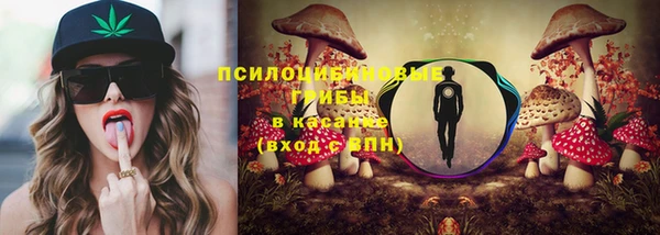 прущие крисы Горно-Алтайск