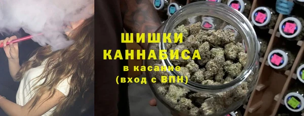 2c-b Гусев